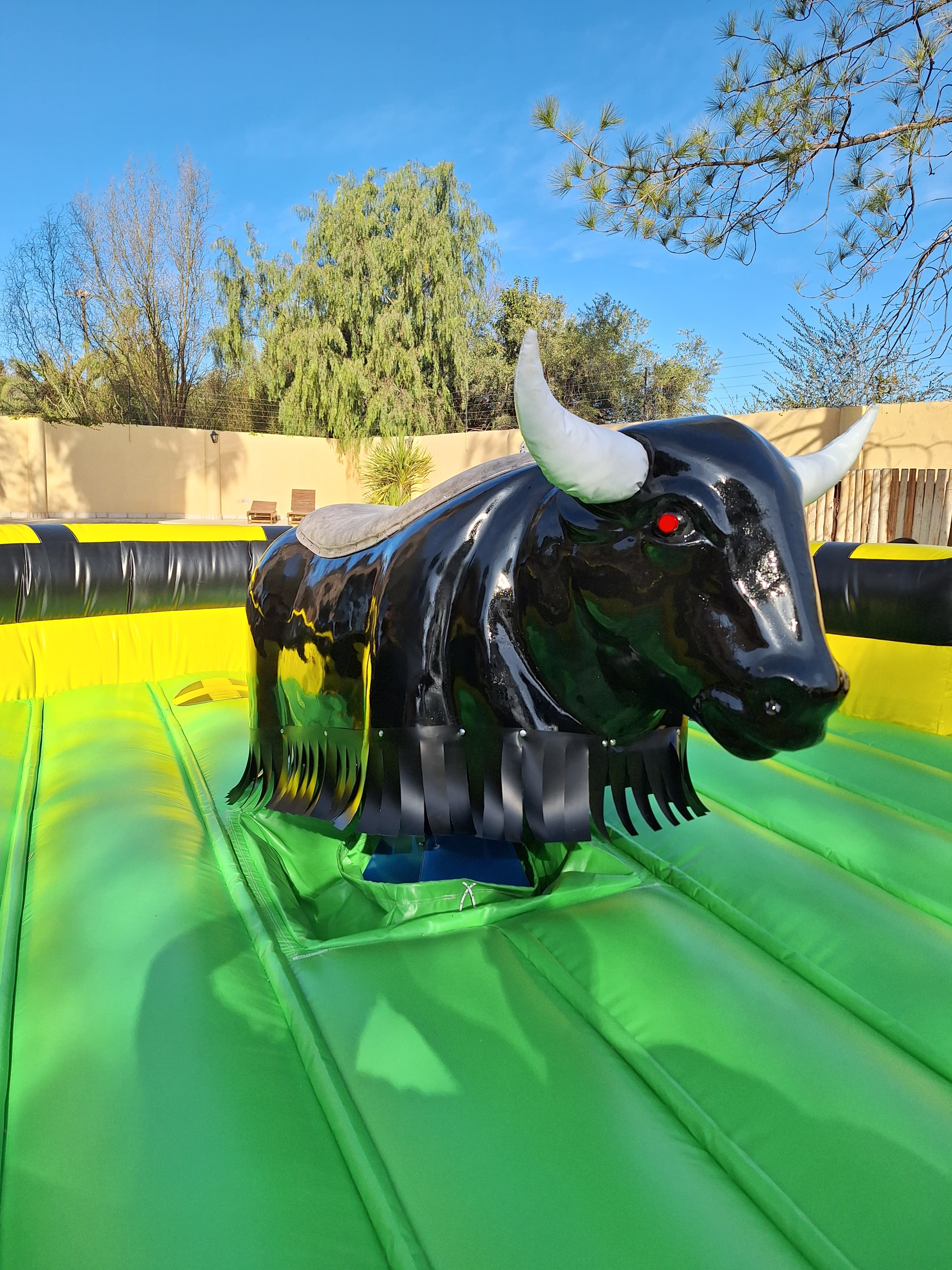 ImageHeaderBull_1
